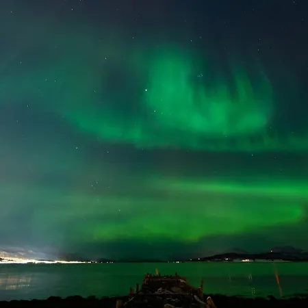 Апартаменты Studio Apartment Close To Tromso