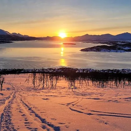 Апартаменты Studio Apartment Close To Tromso
