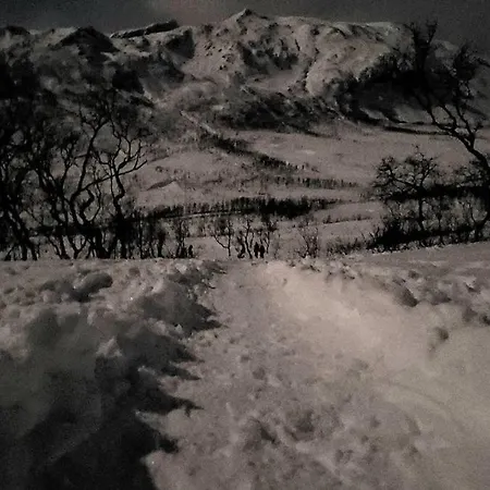 Studio Apartment Close To Tromso